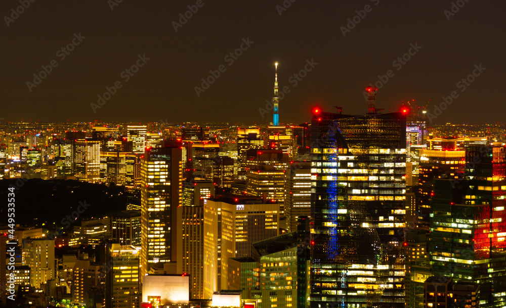 東京夜景 2021　スカイツリーと摩天楼