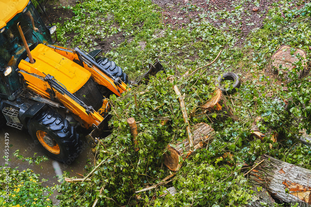 City beautification team removes a sawn tree with an excavator City beautification team removes a sawn tree with an excavator