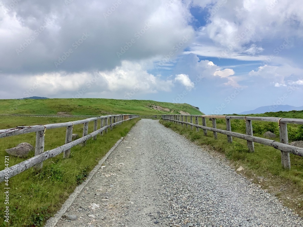 Scenery of Utsukushigahara Plateau in summer at an altitude of 2000m