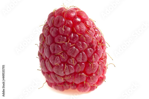 Fresh raspberry berry isolated on white background close-up. photo