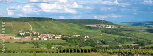 vineyards in marne valley south of reims in french region champagne ardenne