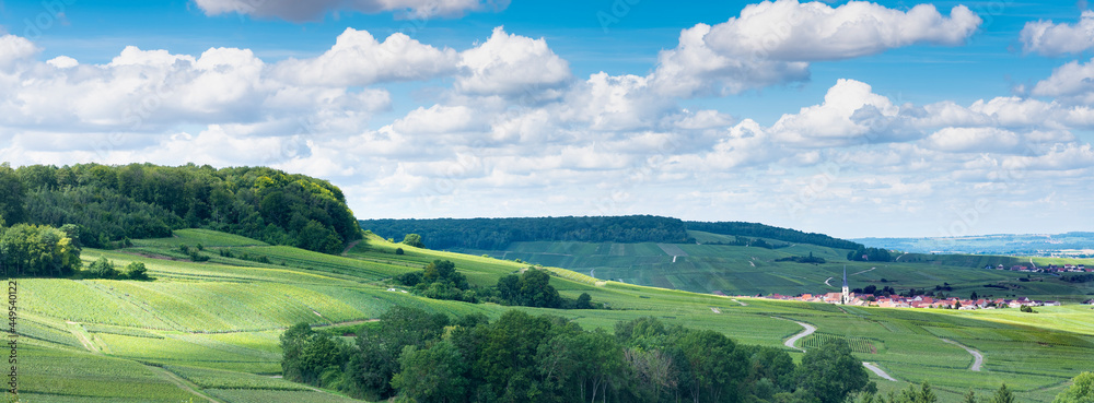 rolling hills in french countryside south of reims under blue sky in summer
