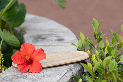 Top view tropical leaves on vibrant background. Summer flat lay composition.