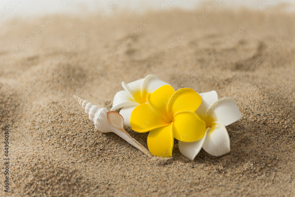砂浜とプルメリアの花 砂浜とプルメリアの花