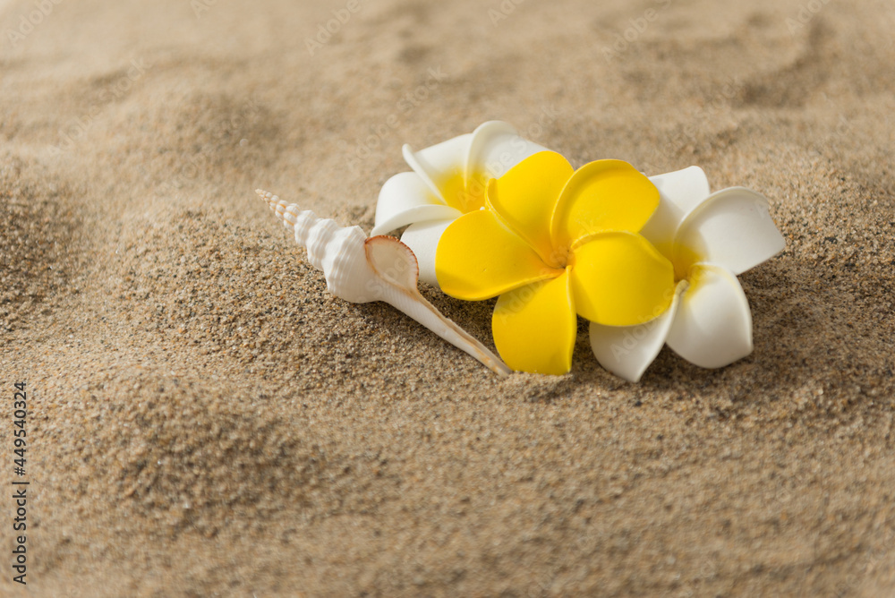 砂浜とプルメリアの花 砂浜とプルメリアの花