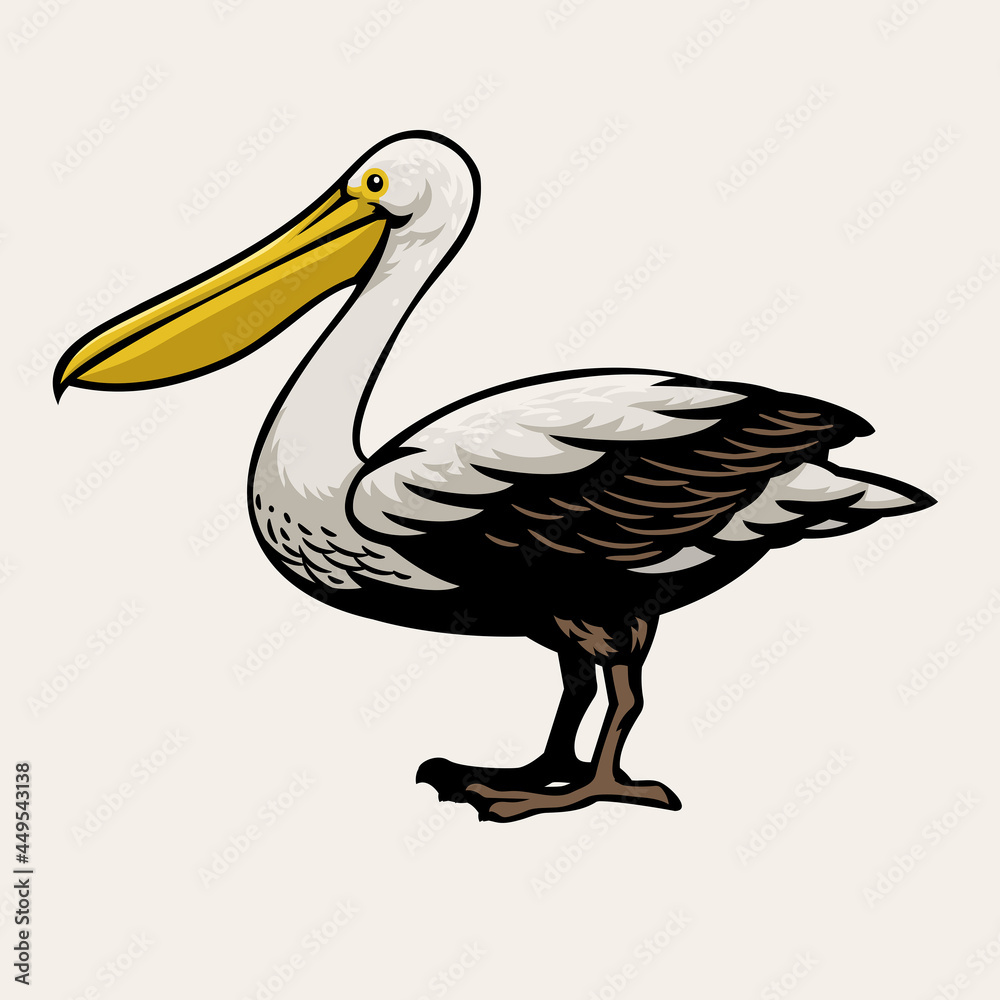 Obraz premium Pelican bird drawing