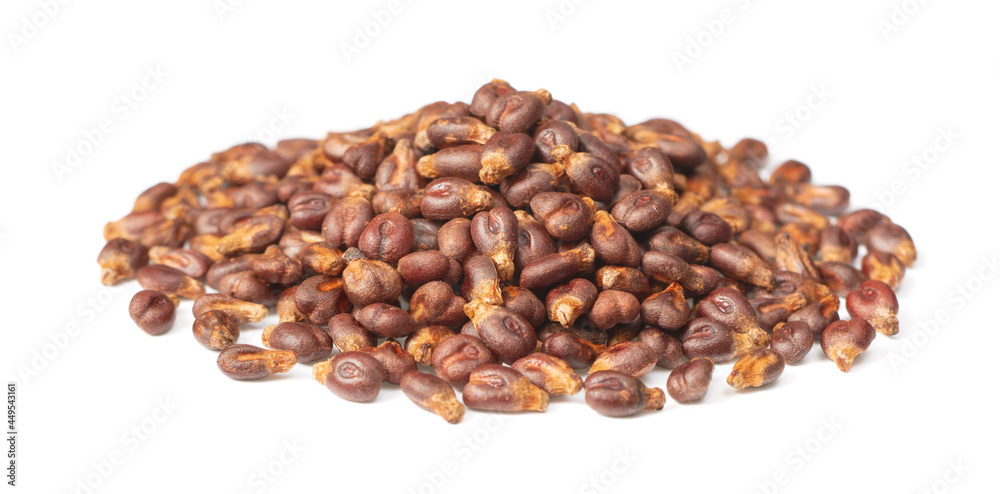 Fototapeta premium small heap of dried grape seeds isolated on white background