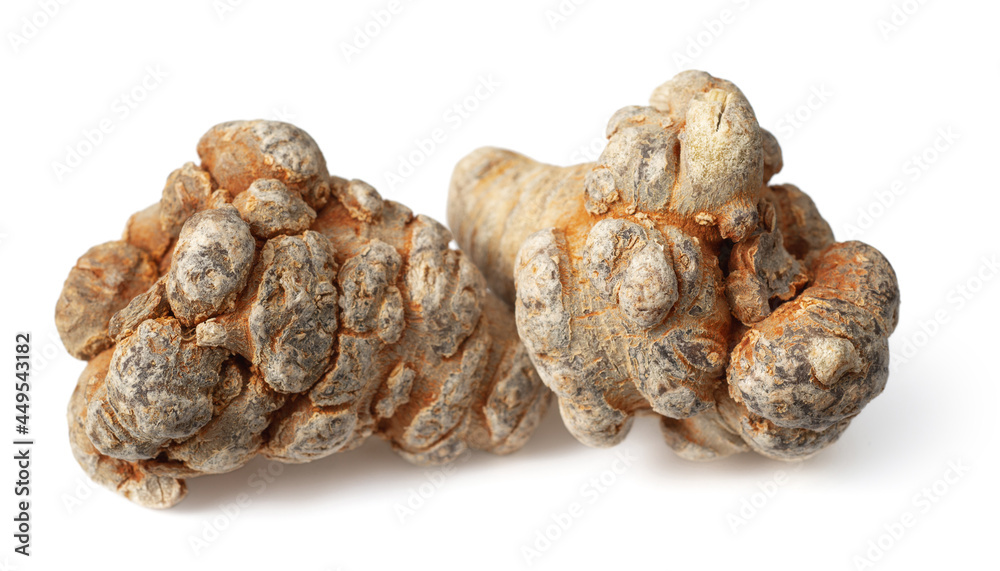 dried panax notoginseng isolated on whtie background dried panax notoginseng isolated on whtie background
