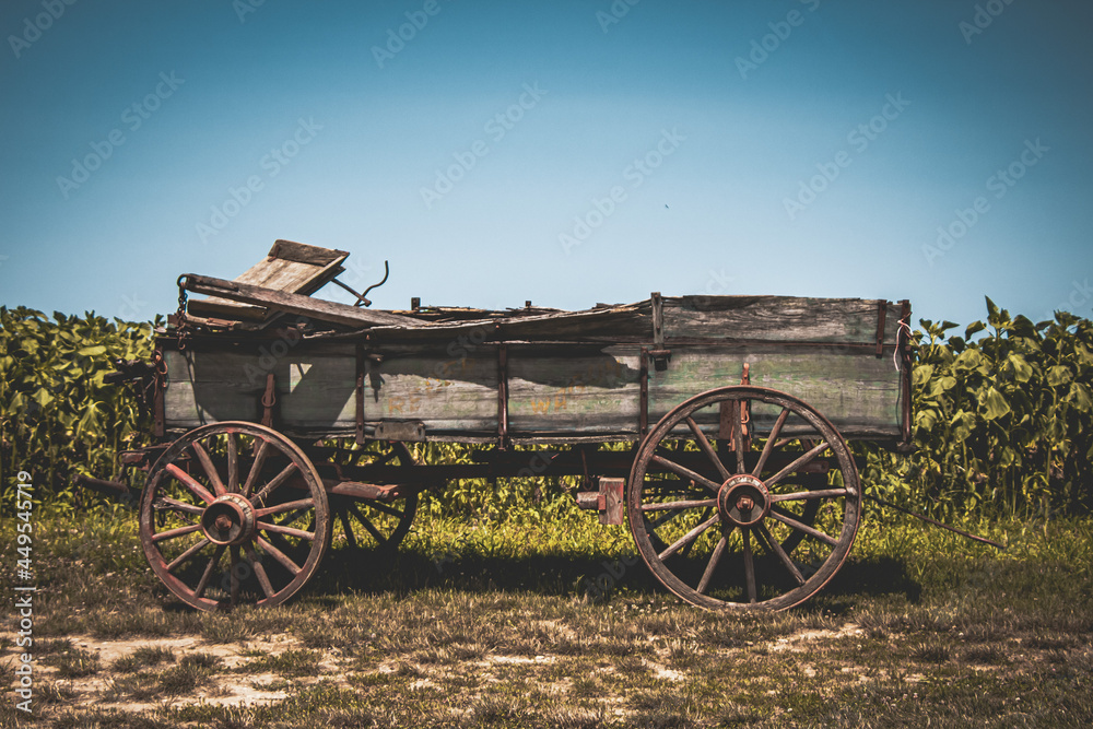Obraz premium old farm wagon