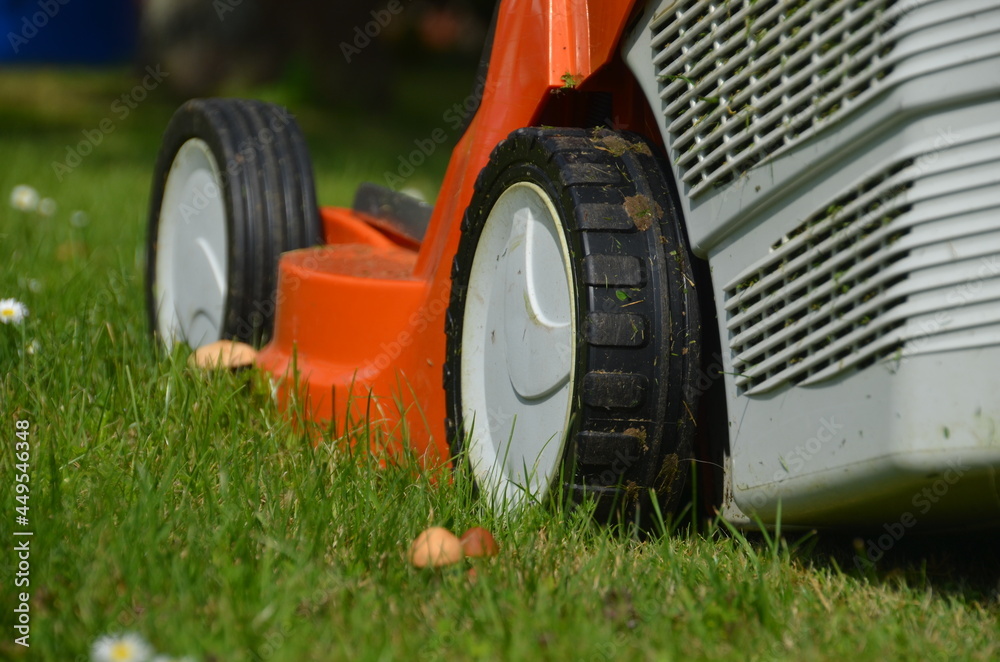 Hausmeisterservice Rasenmäher im Garten Hausmeisterservice Rasenmäher im Garten