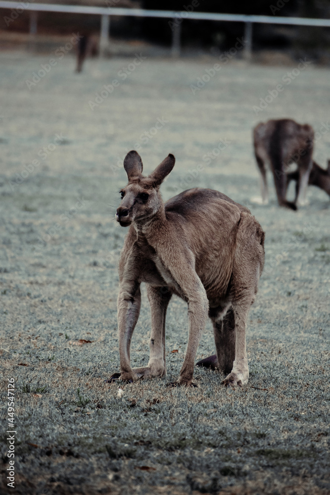 Fototapeta premium child playing on the beach