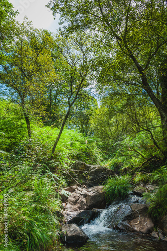 Waterfall on a small mountain river