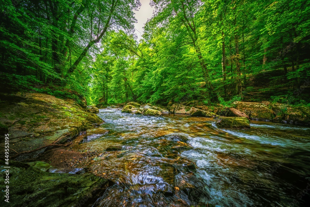 Obraz premium The Schwarza, a tributary of the Saale in Thuringia, Germany, rises in the Thuringian Forest and flows through picturesque towns such as Schwarzburg and Bad Blankenburg.