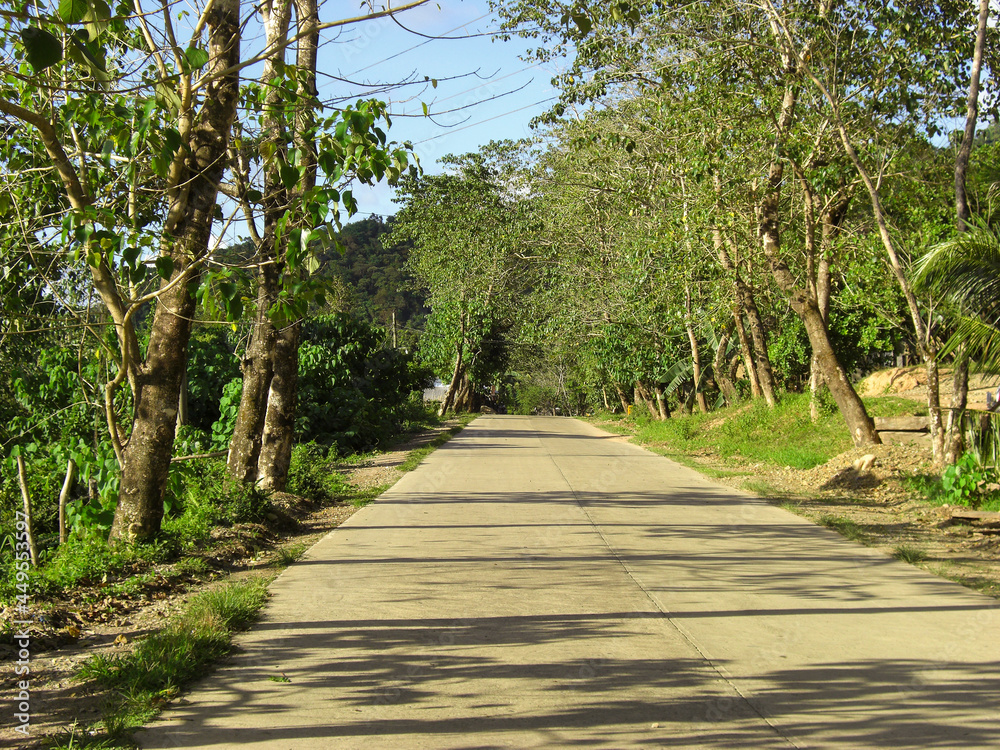 Countryside on the island Palawan on the Philippines 18.12.2012 Countryside on the island Palawan on the Philippines 18.12.2012