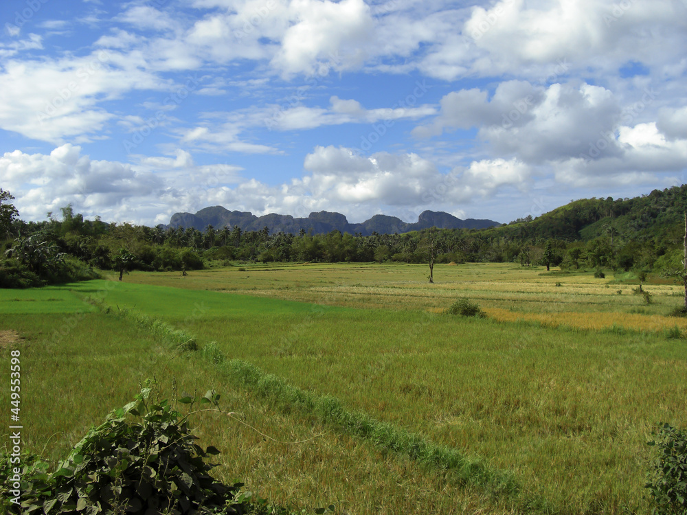 Countryside on the island Palawan on the Philippines 19.12.2012