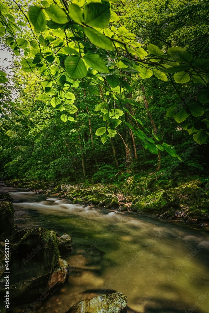 The Schwarza, a tributary of the Saale in Thuringia, Germany, rises in the Thuringian Forest and flows through picturesque towns such as Schwarzburg and Bad Blankenburg. The Schwarza, a tributary of the Saale in Thuringia, Germany, rises in the Thuringian Forest and flows through picturesque towns such as Schwarzburg and Bad Blankenburg.
