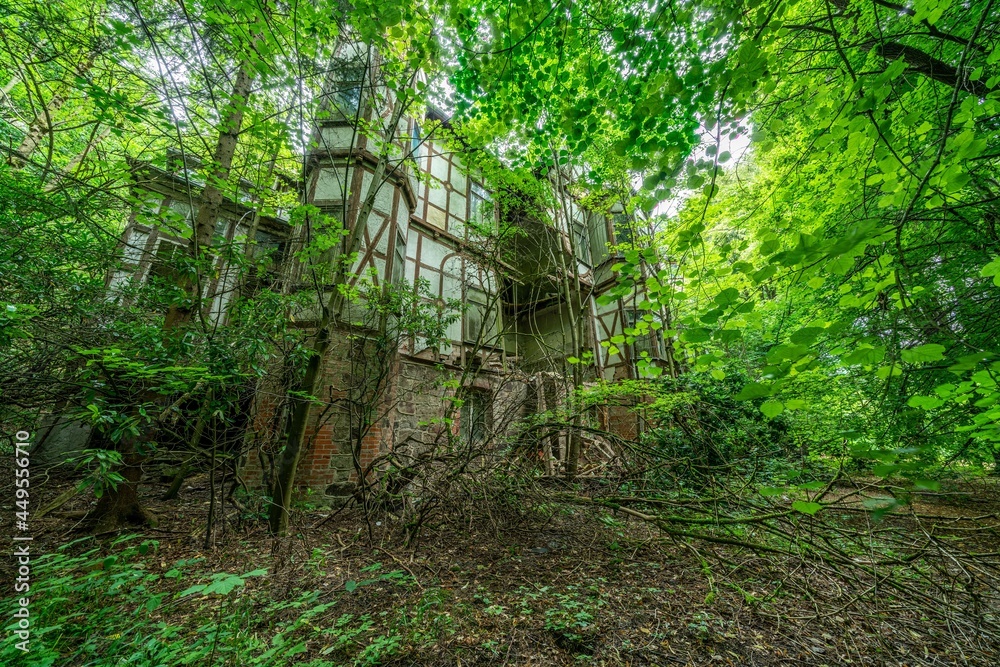 In the deep forests of Thuringia, hidden under the dense canopy of leaves, lies the old castle of Unterwellenborn. It is a place full of secrets In the deep forests of Thuringia, hidden under the dense canopy of leaves, lies the old castle of Unterwellenborn. It is a place full of secrets
