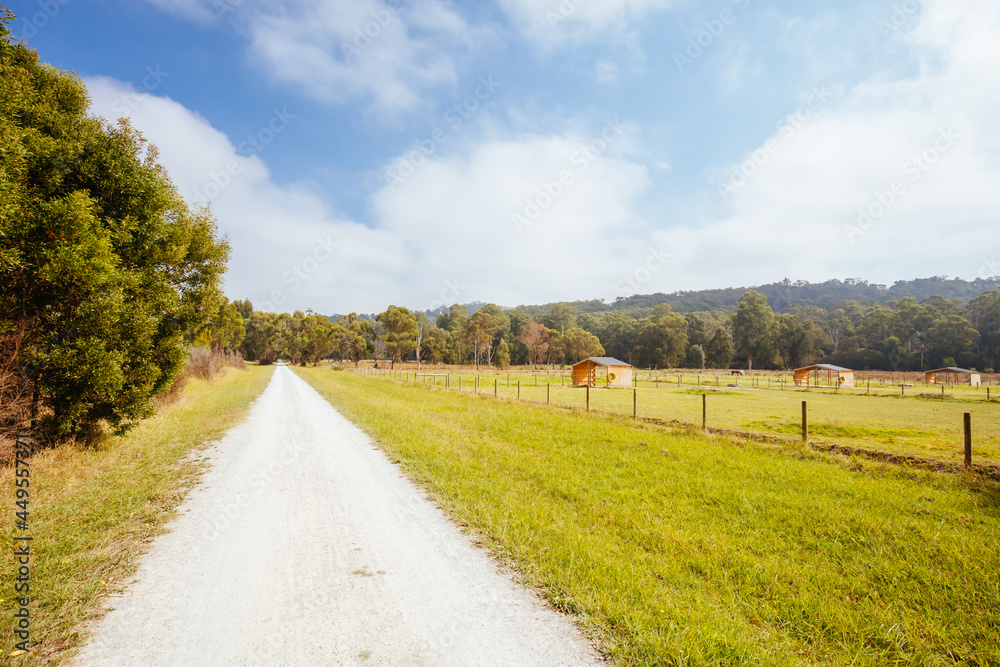 Fototapeta premium Lilydale to Warburton Rail Trail in Australia