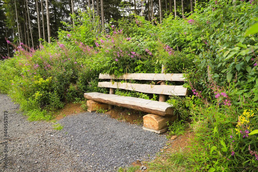 A wooden bench on a hiking trail in Rhoen mountains, Germany A wooden bench on a hiking trail in Rhoen mountains, Germany
