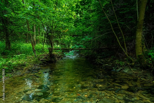 stream in the woods © coffeinlix 