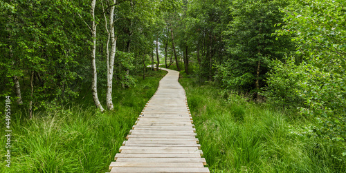 Moorweg durch das Schwarze Moor in der Rhön