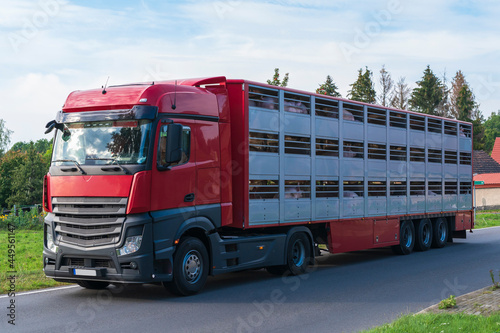 Ein Viehtransporter auf den Weg zum Schlachthof