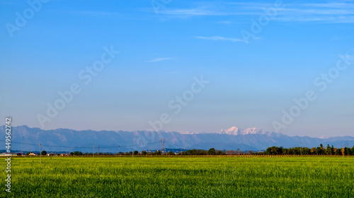 Evening in the countryside of Friuli