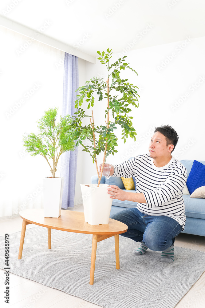 自宅で観葉植物を育てる中年の男性