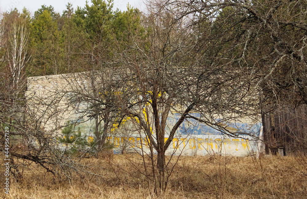 Pripyat is an exclusion zone after Black Andbult nuclear disaster at the nuclear power plant. Pripyat is an exclusion zone after Black Andbult nuclear disaster at the nuclear power plant.