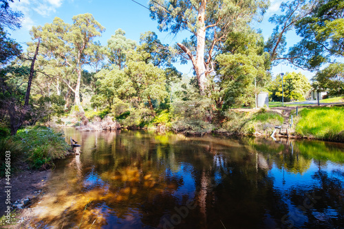 Yarra River View in Millgrove Australia