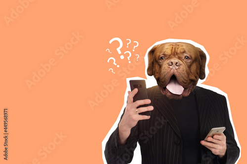 Portrait of businessman with dog head. Art collage with a dull businessman. Concept is fashionable or incomprehensible man. Contemporary art design on topic doing business. Dog man in business suit