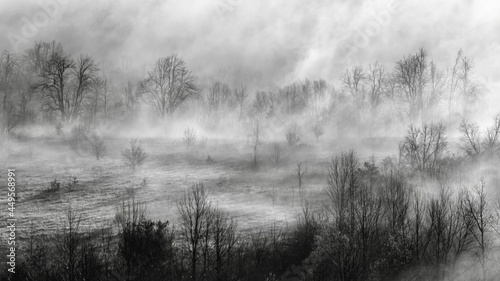 A frost covered landscape during a foggy April morning
