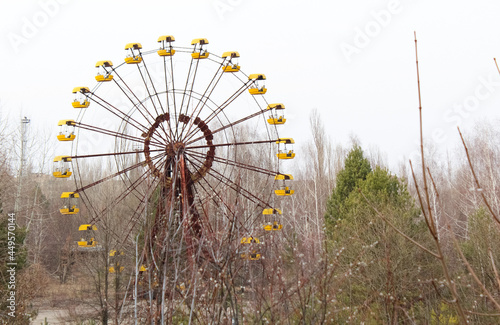 Fototapeta Naklejka Na Ścianę i Meble -  The Ferris wheel is in the priply.