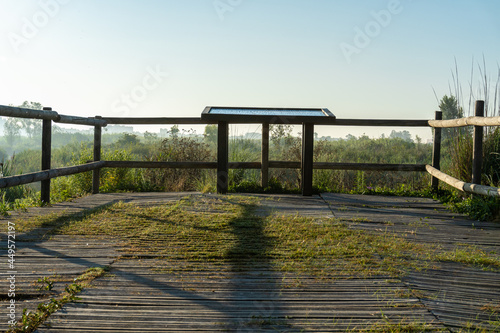 Wooden walkway with an information panel, with information about the place and wildlife, on a sunny morning. 