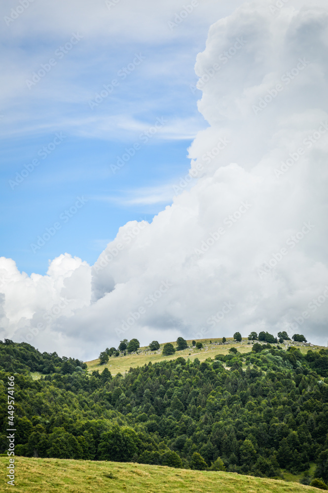 Beautiful Landscape with Trees, Mountains and Meadows with a Blue Sky and Clouds Seen on the Mountains from Passo Fittanze Di Sega, in Lessinia, near Verona in Italy Beautiful Landscape with Trees, Mountains and Meadows with a Blue Sky and Clouds Seen on the Mountains from Passo Fittanze Di Sega, in Lessinia, near Verona in Italy