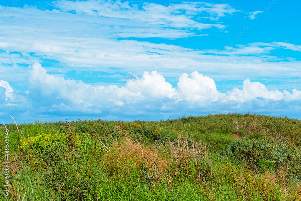 horizontal shot: beautiful blue cloudy sky and weed hills