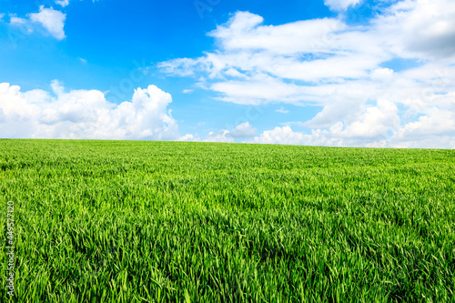 Endless grassland and sky natural landscape in springtime in Asia