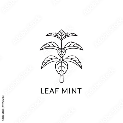 Logo Outline Shape Organic Mint Peppermint Healthy Menthol Nature Template