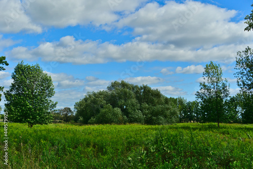 Green field in the woods of islands of Boucherville national park, Quebec, with cloudy sky and trees on a summer day