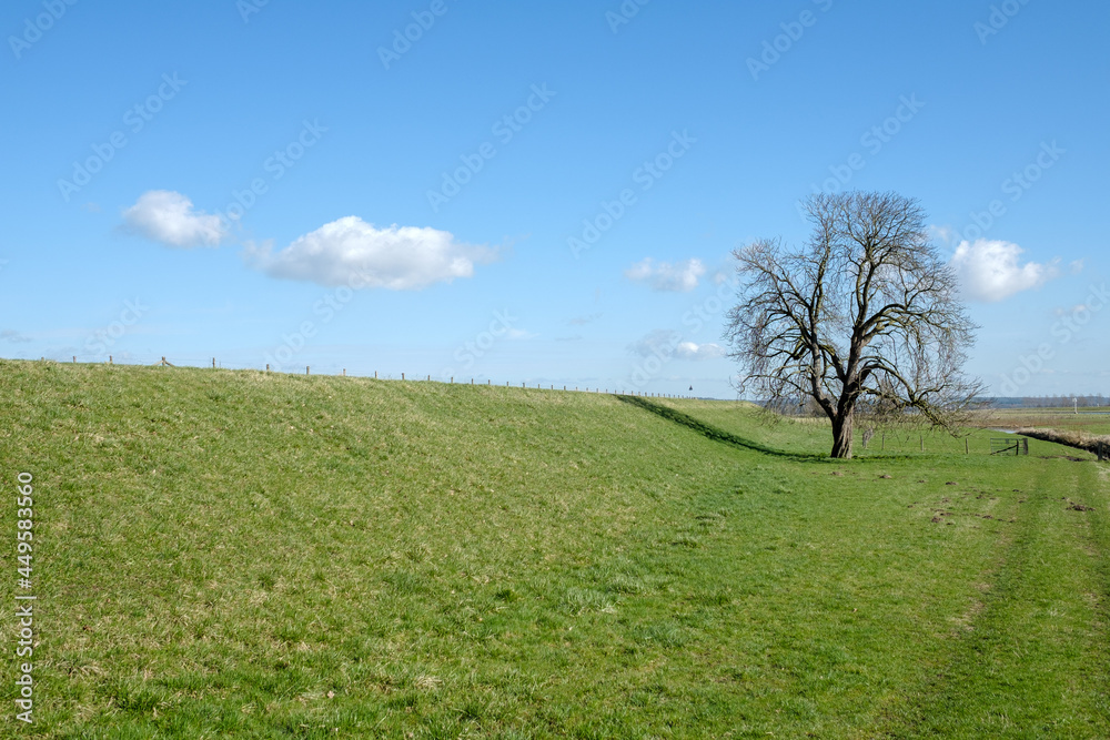 Landscape near Amerongen, Utrecht Province, The Netherlands