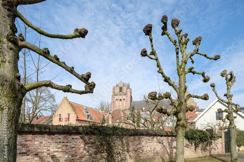 Wijk bij Duurstede, Utrecht Province, The Netherlands photo