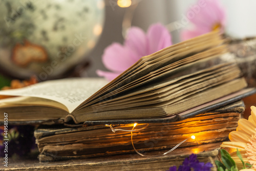 Vintage bibliophilic scenery: A couple of old books, flowers and a globe photo