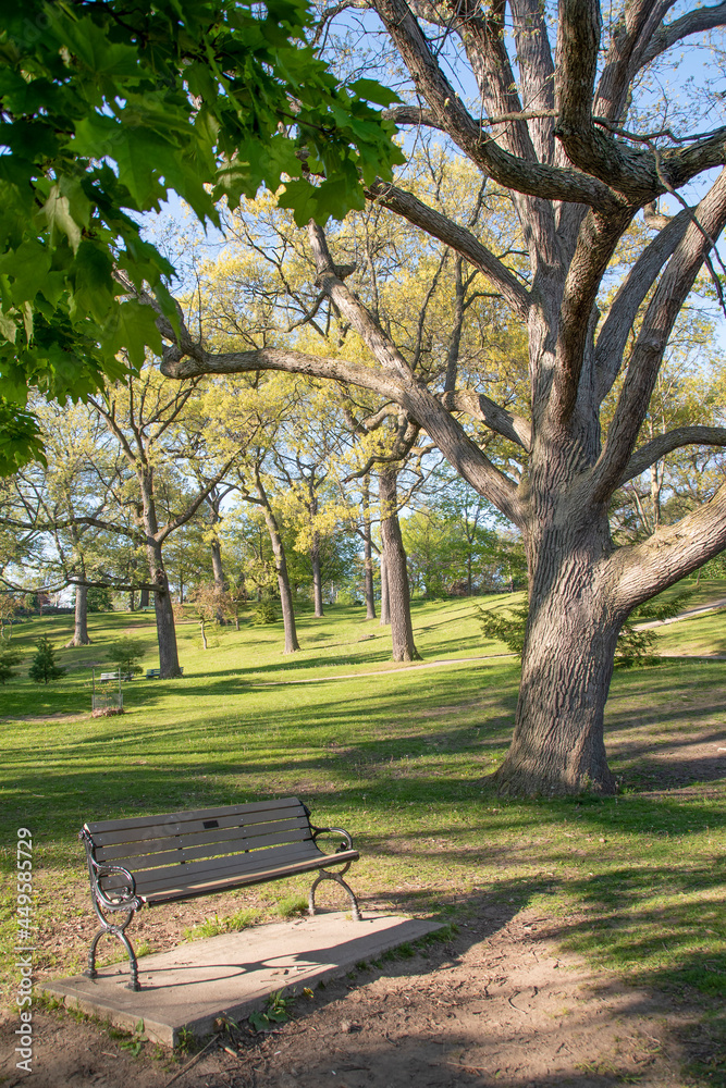 A lone, empty bench sits invitingly awaiting weary visitors looking for a place to rest in the peaceful surroundings of High Park in Toronto, Ontario.