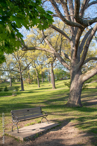 Photography A lone, empty bench sits invitingly awaiting weary visitors looking for a place to rest in the peaceful surroundings of High Park in Toronto, Ontario
