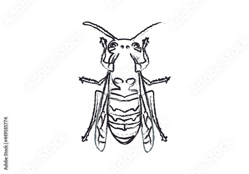 Icono negro de avispa en fondo blanco.