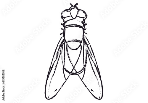 Icono negro de una mosca en fondo blanco.