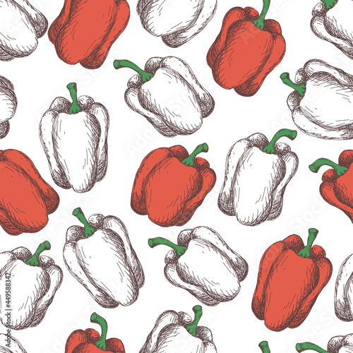 red peppers on white background, vector pattern. Seamless vintage style pattern with vegetables. Vegetable print. 