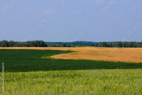 Curves of the boundaries of agronomic fields on the territory of Chuvashia in the summer season.