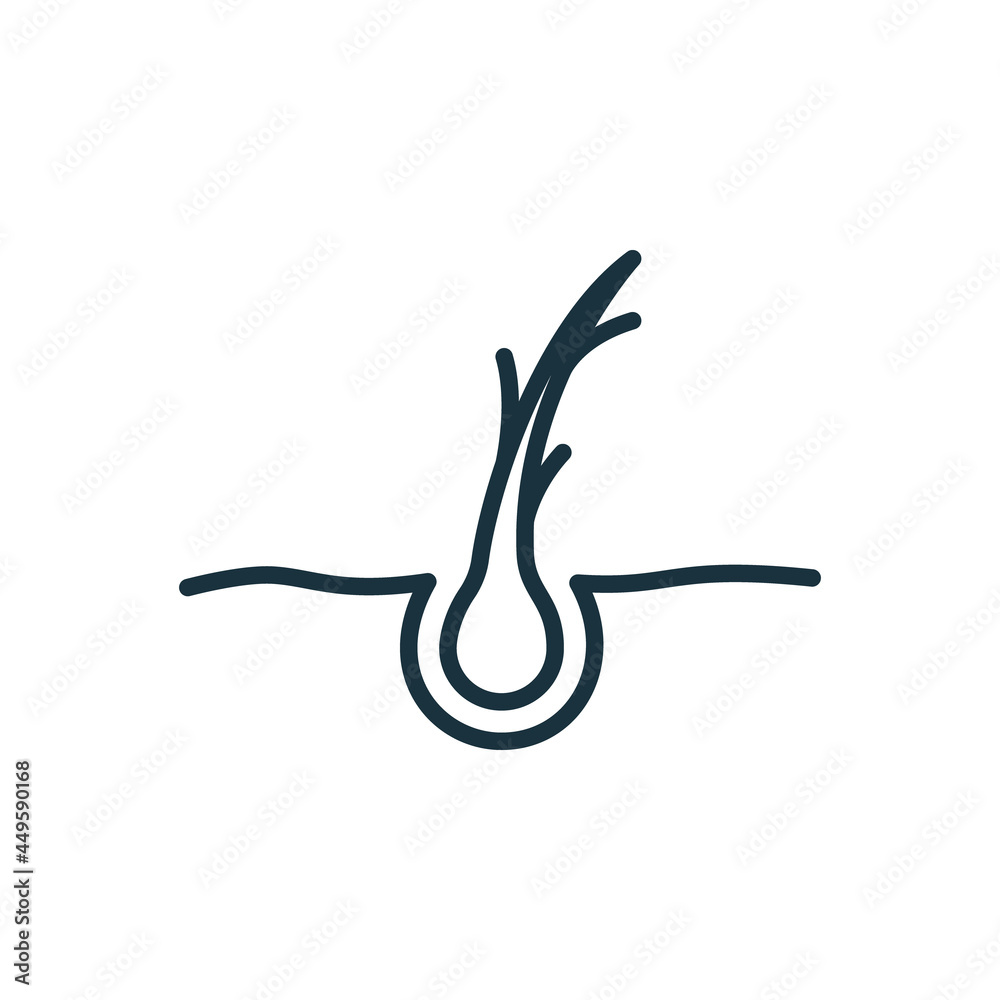 Hair Split Ends Line Icon. Damage Follicle Linear Pictogram. Flake Hair Bulb Problem Outline Icon. Editable Stroke. Isolated Vector Illustration Hair Split Ends Line Icon. Damage Follicle Linear Pictogram. Flake Hair Bulb Problem Outline Icon. Editable Stroke. Isolated Vector Illustration