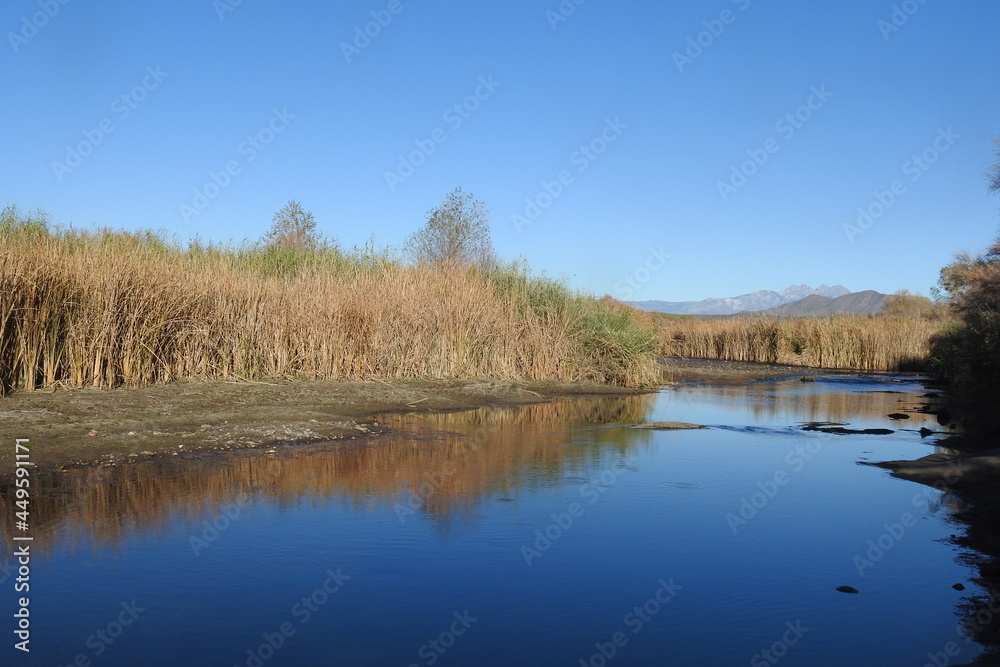 The beautiful spring scenery of the Salt River, in the Sonoran Desert, Tonto National Forest, Arizona. The beautiful spring scenery of the Salt River, in the Sonoran Desert, Tonto National Forest, Arizona.